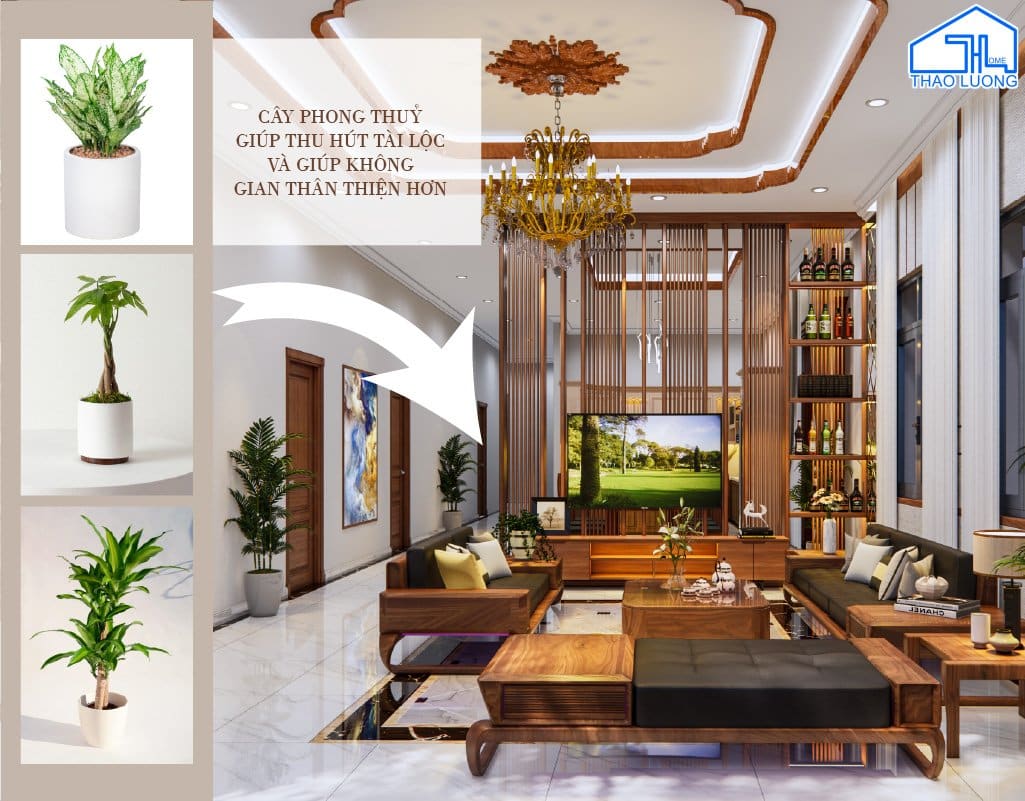 Trang trí cây phong thủy hợp mệnh