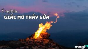Giải Mã Giấc Mơ Thấy Lửa: Nguồn Năng Lượng Mạnh Mẽ Hay Sự Hủy Diệt Tiềm Ẩn?