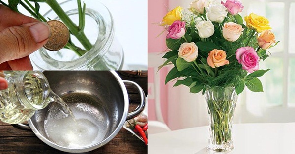 Đặt hoa ở nơi thoáng mát giúp hoa giữ được độ tươi lâu hơn