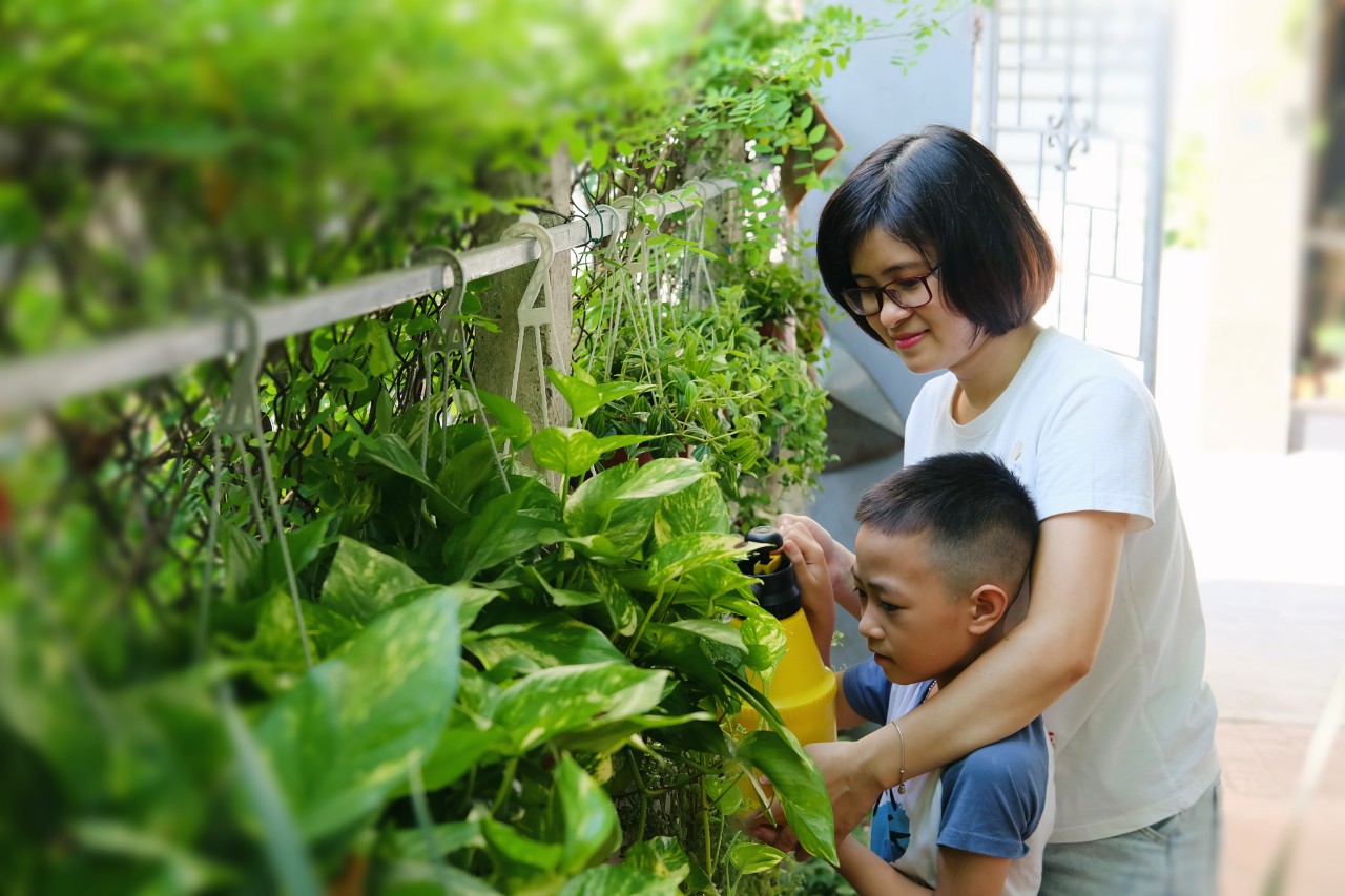 Giải pháp chăm sóc cây dành cho người bận rộn