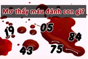 Giải Mã Giấc Mơ Thấy Máu: Lời Cảnh Báo Về Sức Khỏe Hay Tín Hiệu Từ Tiềm Thức?