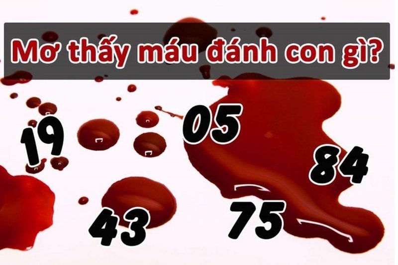 Chăm sóc sức khỏe và tinh thần